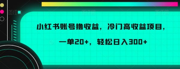 小红书账号撸收益，冷门高收益项目，一单20+，轻松日入300+