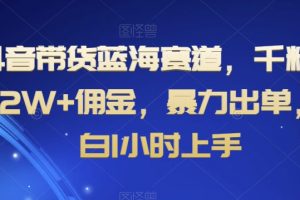 抖音带货蓝海赛道，千粉账号2W+佣金，暴力出单，小白1小时上手