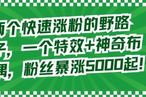 两个快速涨粉的野路子，一个特效+神奇布偶，粉丝暴涨5000起