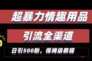 最新情趣项目引流全渠道，自带高流量，保姆级教程，轻松破百单，日引500+粉