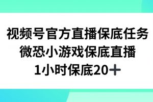 视频号直播任务，微恐小游戏，1小时20+