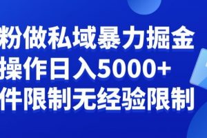 负债粉私域暴力掘金，小白操作入5000，无经验限制，无条件限制