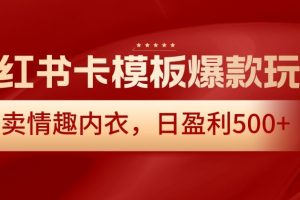 小红书卡模板爆款玩法，售卖情趣内衣，日盈利500+