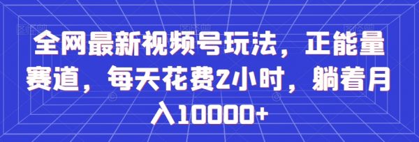 全网最新视频号玩法，正能量赛道，每天花费2小时，躺着月入10000+