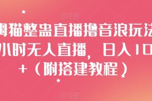 汤姆猫整蛊直播撸音浪玩法！24小时无人直播，日入1000+（附搭建教程）