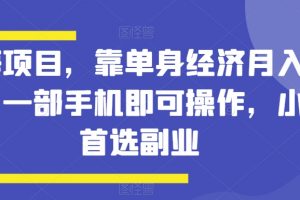 蓝海项目，靠单身经济月入过万，一部手机即可操作，小白首选副业