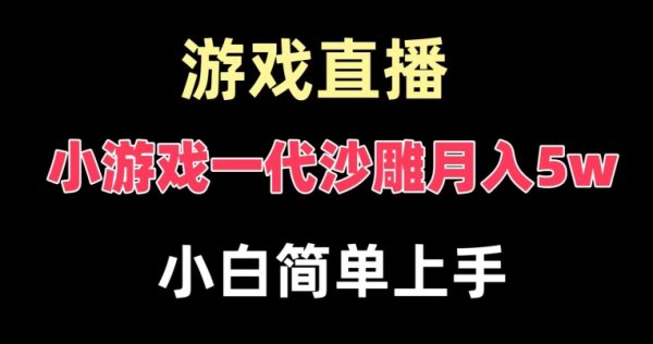 玩小游戏一代沙雕月入5w，爆裂变现，快速拿结果，高级保姆式教学