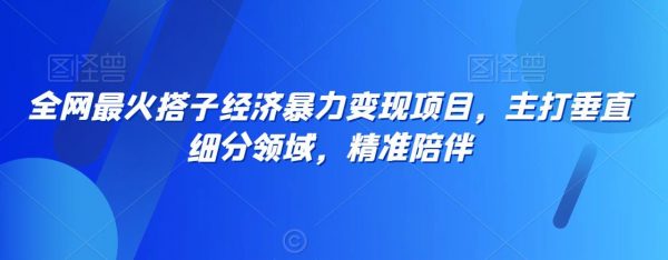 全网最火搭子经济暴力变现项目，主打垂直细分领域，精准陪伴