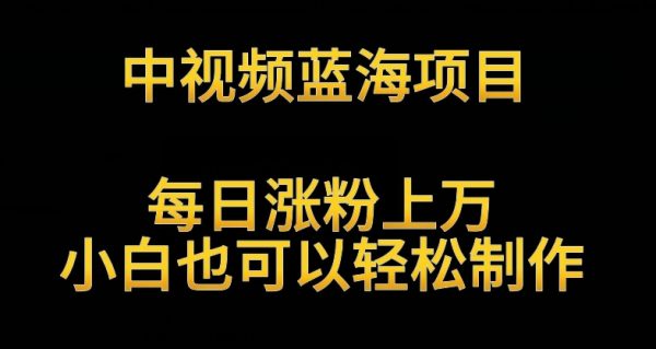 中视频蓝海项目，解读英雄人物生平，小白轻松制作月入过万