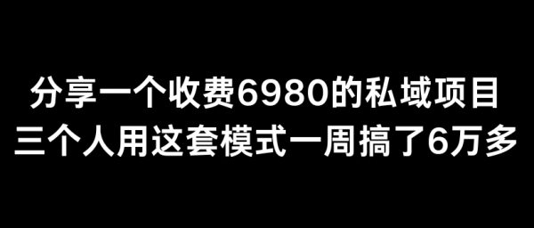 外面卖6980的私域项目三个人用这套模式一周搞了6万多