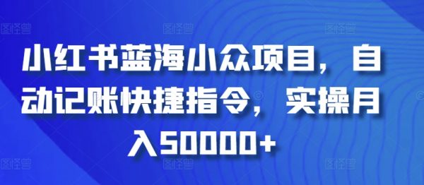 小红书蓝海小众项目，自动记账快捷指令，实操月入50000+