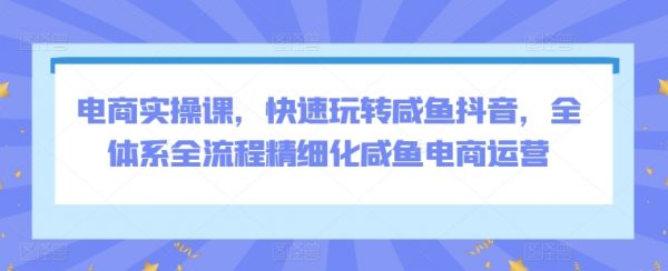 电商实操课，快速玩转咸鱼抖音，全流程精细化咸鱼电商运营