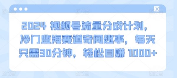 2024视频号流量分成计划，冷门奇闻趣事，轻松目赚 1000+