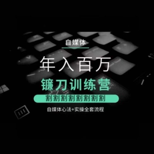 自媒体年入百万镰刀训练营，自媒体心法+实操全套流程