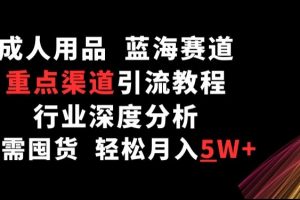 重点渠道引流教程，成人用品行业深度分析，无需囤货轻松月入5W+