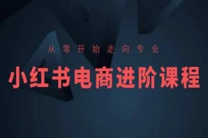 〈小红书电商进阶课程〉从零开始走向专业