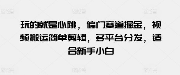 适合小白偏门赛道掘金，视频搬运简单剪辑，多平台分发