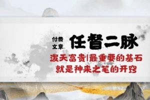 某付费文章《任督 二脉 泼天富贵|最重要的基石 就是神来之笔的开窍|万字》