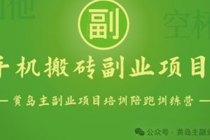 手机搬砖小副业项目训练营1.0，实测1小时收益50+，一部手机轻松日入100+