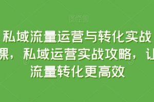 私域流量运营与转化实战课，私域运营实战，让流量转化更高效