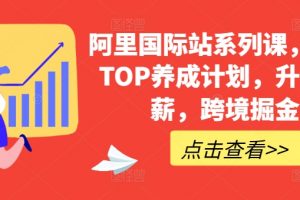 阿里国际站系列课，运营TOP养成计划，跨境掘金