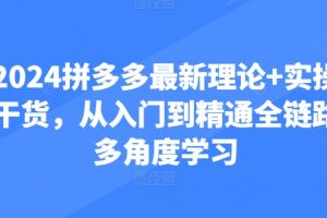 2024拼多多最新理论+实操干货课，从入门到精通多角度学习