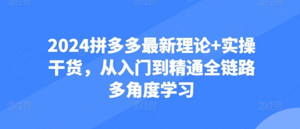 拼多多最新理论课