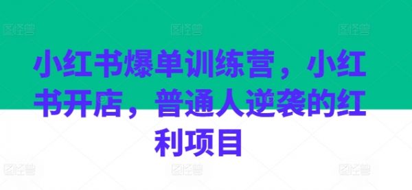 小红书爆单训练营