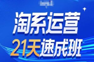 第28期《淘系运营24天速成班》最新万相台无界带免费流量