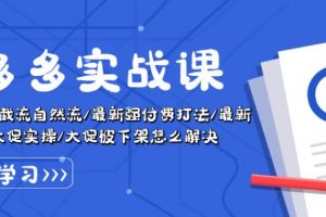 拼多多实战课：万人团玩法/截自然流/最新强付费打法