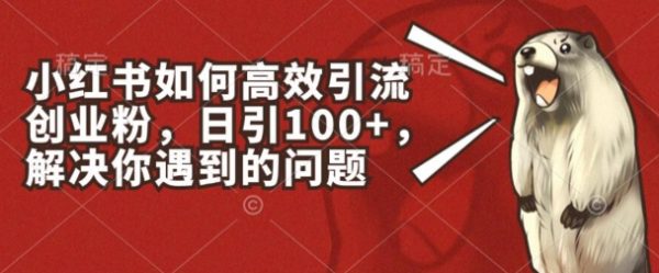 小红书如何高效引流创业粉，日引100+，解决你遇到的问题