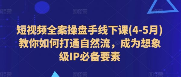 短视频全案操盘手，教你打通自然流，成为想象级IP必备要素