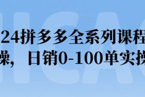 2024拼多多全系列课程实操，日销0-100单实操