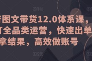 抖音图文带货12.0体系课，主打全品类运营，快速出单拿结果