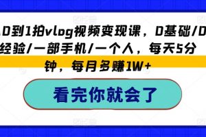 从0到1拍vlog视频变现课，0基础小白一部手机，每天5分钟，每月多赚1W+