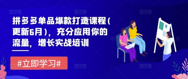 拼多多单品爆款打造课程，充分应用你的流量，增长实战培训