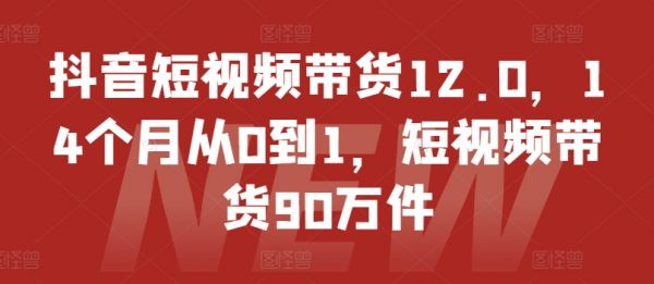 抖音短视频带货12.0，14个月从0到1，短视频带货90万件