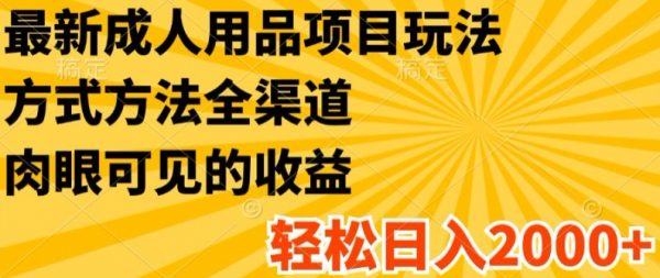 最新成人用品项目玩法，方式方法全渠道，轻松日入2K+