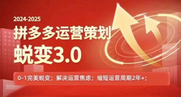 2024拼多多运营策略蜕变3.0教程，0~1完美蜕变，解决信息焦虑