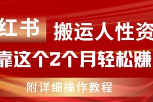 小红书搬运人性资料，有人靠这个2个月轻松赚11w，附教程