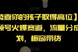 【恭喜你的孩子取得高位】AI视频号火爆赛道，流量分成计划，橱窗带货