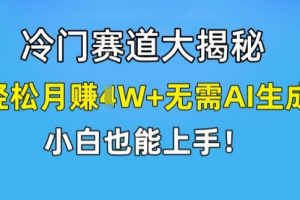 冷门赛道大揭秘，轻松月赚1W+无需AI生成，小白也能上手