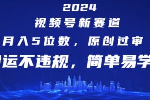 2024视频号新赛道，月入5位数+，原创过审，搬运不违规，简单易学