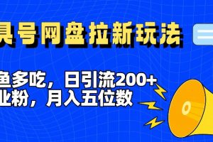 一鱼多吃，日引流200+创业粉，全平台工具号，网盘拉新新玩法月入5位数