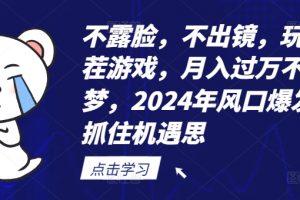 不露脸，不出镜，玩转找茬游戏，月入过万不是梦，2024年风口爆发，抓住机遇