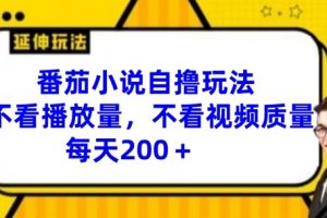 番茄小说自撸玩法，不看播放量，不看视频质量，每天200+