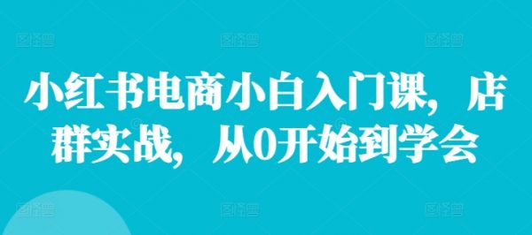 小红书电商小白入门课，店群实战，从0开始到学会