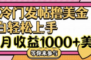 冷门发帖撸美金项目，月收益1000+美金，简单无脑，干就完了