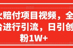 爆火赔付项目视频，全网平台进行引流，日引创业粉1W+