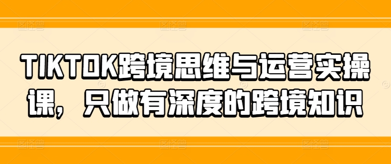 TIKTOK跨境思维与运营实操课